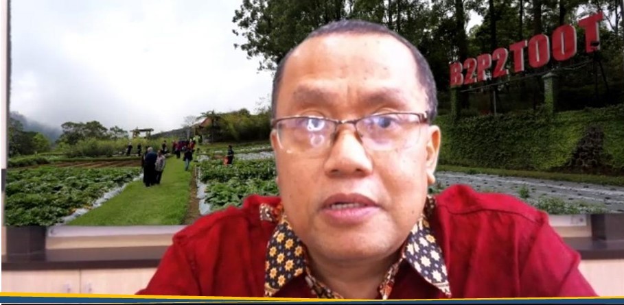 10 Tanaman Obat Untuk Cidera Tulang 10 Tanaman Obat Untuk Cidera Tulang